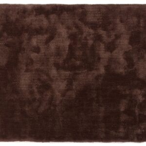 Cisco donkertaupe 18
